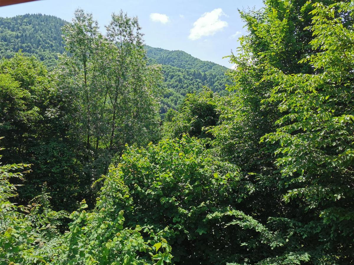 Cabana Lucia Tarcău-Gheuca Buitenkant foto